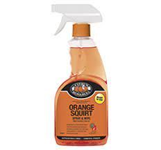 Orange Squirt 750ml Sprayer
