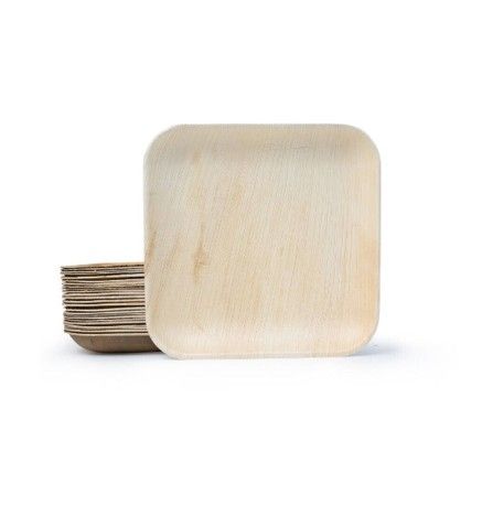 Plate Palm Square 24cm Pk/25