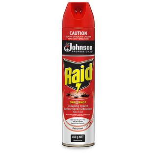 Raid Surface Spray CIK 450g