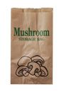 Paper Bag Mushroom Brown