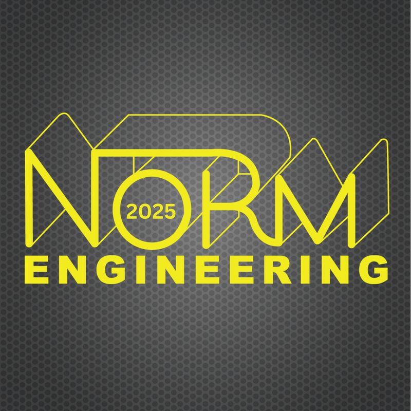 Norm Engineering - 2025