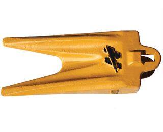 TIGER TEETH