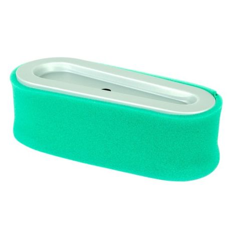 AIR & PRE-FILTER BRIGGS 691667