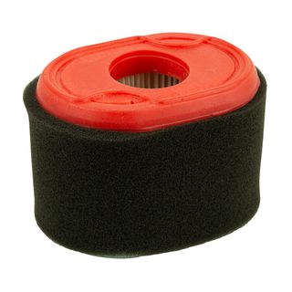 AIR FILTER ASSY BRIGGS 3.5HP OHV 550 127CC 796970 / S063100