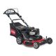 1.01 Rotary Lawn Mower