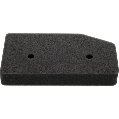 AIR FILTER ASSY EU65 GENERATOR 100-910