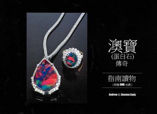 The Opal Story (Book and DVD in Chinese)