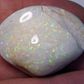 Opalised Bivalve (Cockleshell)