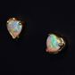 14K Yellow Gold Light Opal Earrings