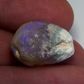 Opalised Bivalve (Mussel Shell)