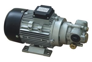 Electric Gear Oil Pump (15l/min)