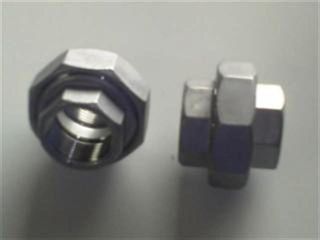 Union  F F 1.5" (40mm) Ss - Bsp