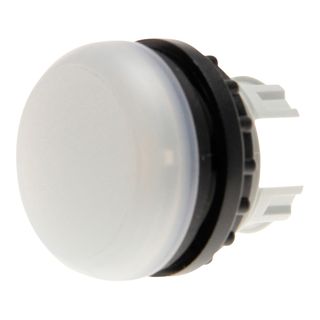 Pilot Light Flush White