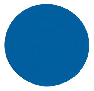 Button Plate for Pushbutton No Text Blue