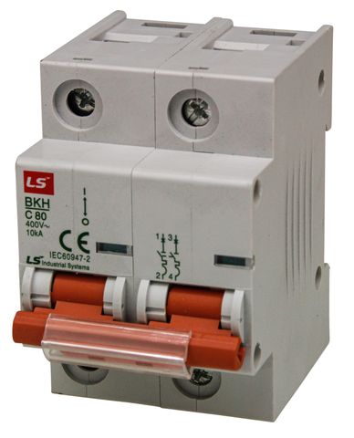 MCB LS Elec 2 Pole 100A C Curve 10kA 27 mm Wide