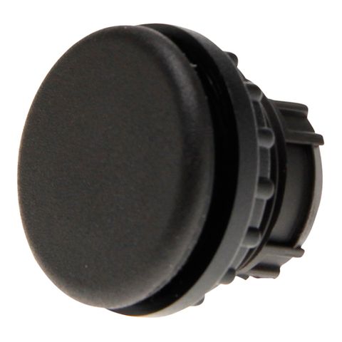 Blanking Plug Black 22mm