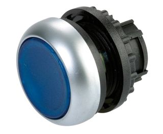 Pushbutton Illuminated Stay Put Blue