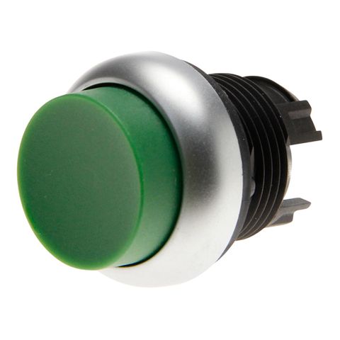 Pushbutton Extended Green