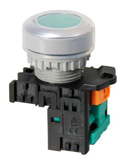 Pushbutton Flush Non Latching Green 1N/O Contact