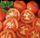 1kg SVP SLICED TOMATO