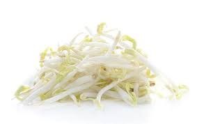 kg FRESH BEAN SPROUTS