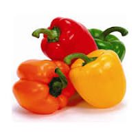 10kg FRESH CAPSICUMS