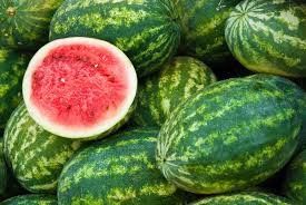 kg FRESH WATERMELON