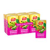 24X250ml GOLDEN CIRCLE SUMMER FRUIT DRIN