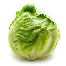 EACH FRESH ICEBERG LETTUCE