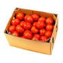 10kg FRESH TOMATOES BUDGET