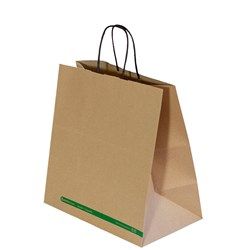 250 TWIST HANDLE PAPER CARRY BAGS