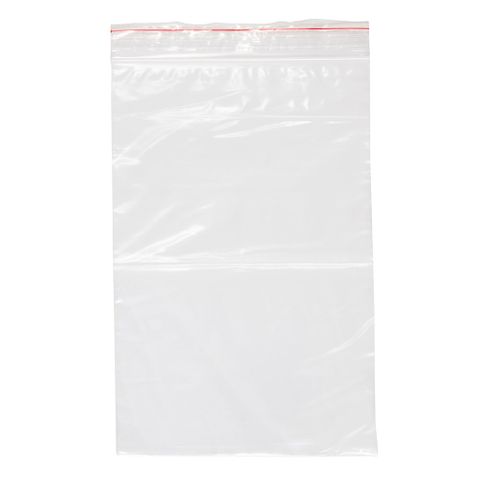 100 6x9 RESEALABLE BAGS