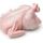10X13s GC MARINATED CHICKENS