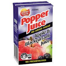 24x250ml GOLDEN CIRCLE APPLE BLACK JUICE