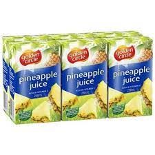 24x250ml GOLDEN CIRCLE PINEAPPLE JUICE