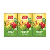 24x250ml GOLDEN CIRCLE TROPICAL PUNCH FR