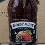 500ml BUNDY 100% APPLE BLACKCURRANT JUIC