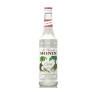 1lt MONIN COCONUT