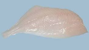 10kg 4/6 SMOOTH DORY FILLETS