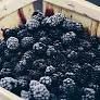 1kg SUNSHINE BLACKBERRIES