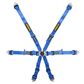 Schroth Flexi 2x2 Harness