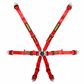 Schroth Flexi 2x2 Harness