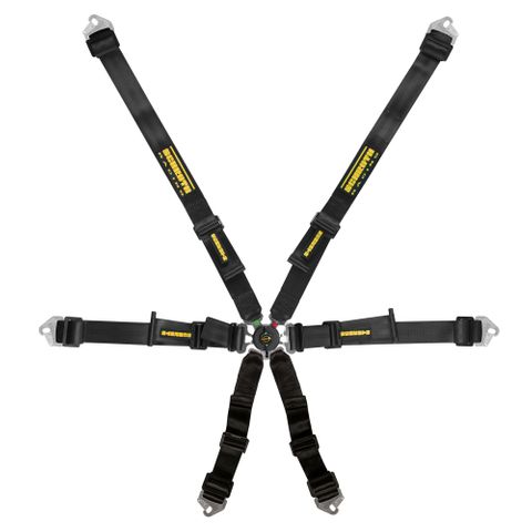 Schroth Flexi 2x2 Harness