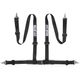 Road Car Harnesses