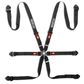 Sparco Competition H-2 PD Steel 6 Point Harness
