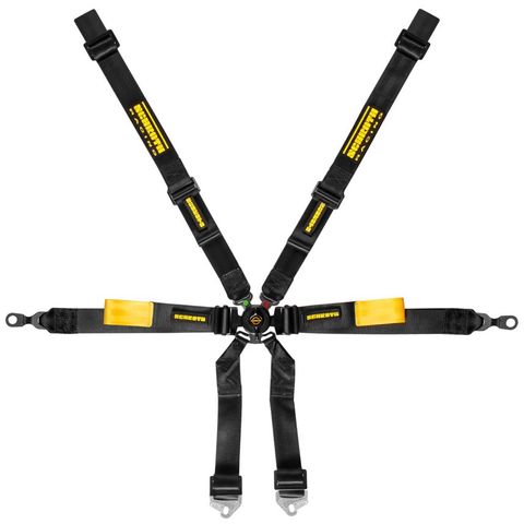 Schroth Porsche Enduro 2x2 Harness