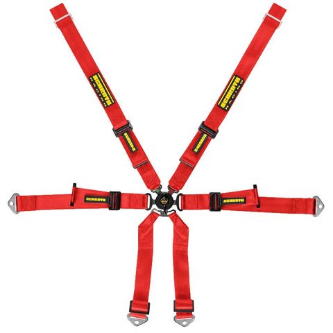 Schroth Profi Porsche 2x2 Harness