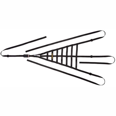 Schroth Roll Cage Window Net