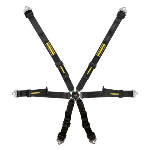 Schroth Profi 2x2 Harness