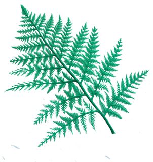 FERNS PLASTIC GREEN